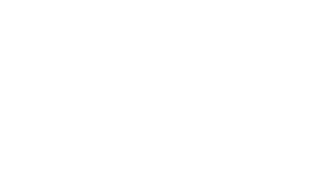 light logo